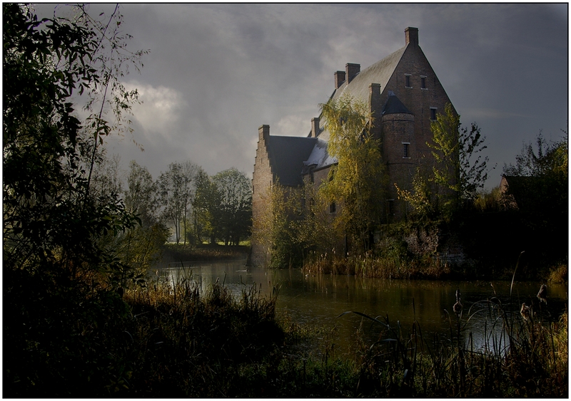 210 - CHATEAU DES COMTES - DE PESTEL LUC - belgium.jpg